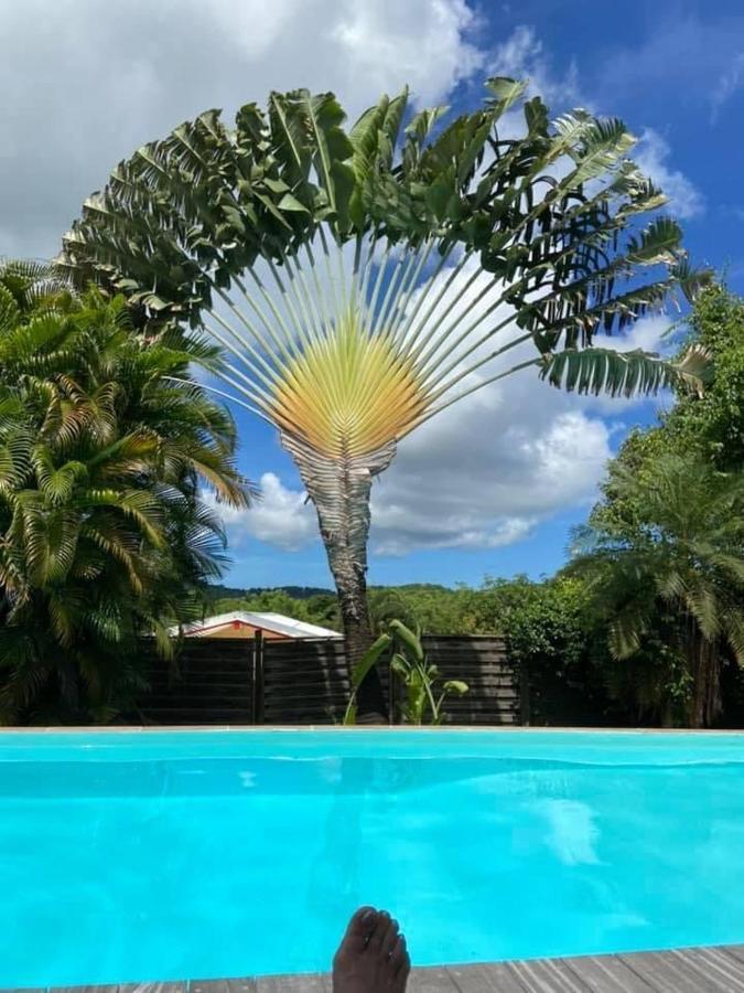 Fleur Des Caraibes Apartment Sainte-Anne Exterior foto